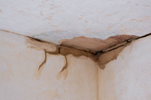 Best Water damage restoration cost  in Meridian, TX