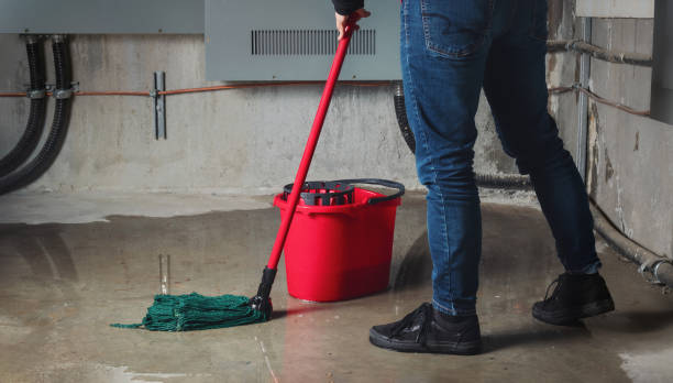 Best Flooded house restoration  in Meridian, TX
