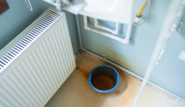 Best Mold removal after water damage  in Meridian, TX
