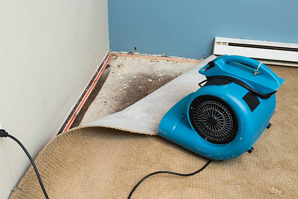 Best Ceiling water damage repair  in Meridian, TX